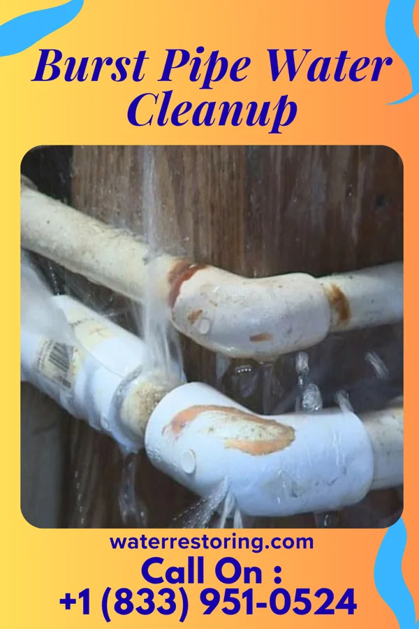 Burst Pipe Water Cleanup in Allen, MI