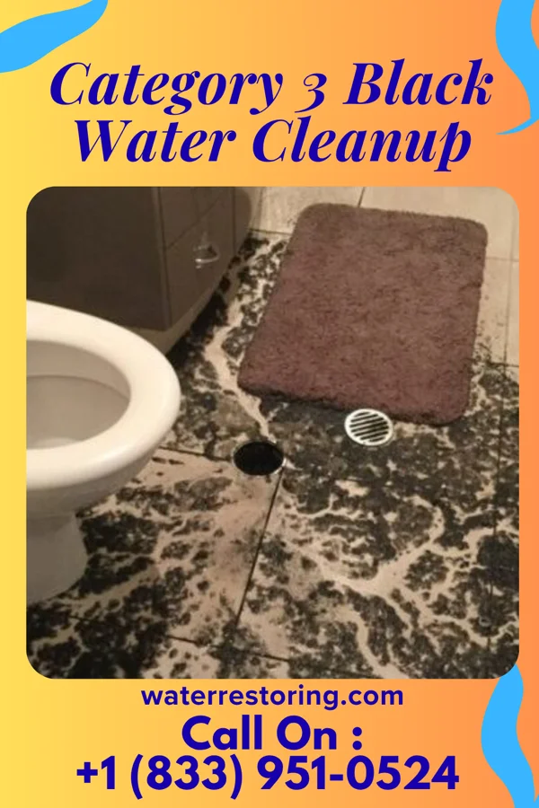 Category 3 Black Water Cleanup in Allen, MI