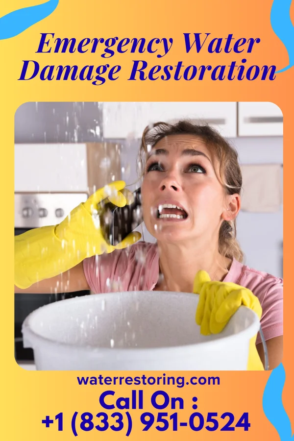 Emergency Water Damage Restoration in Allen, MI
