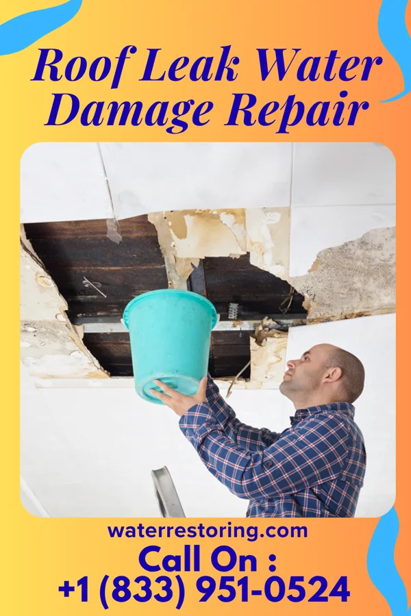 Roof Leak Water Damage Repair in Allen, MI