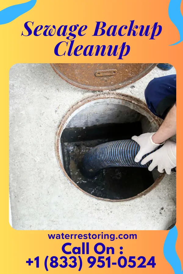 Sewage Backup Cleanup in Allen, MI