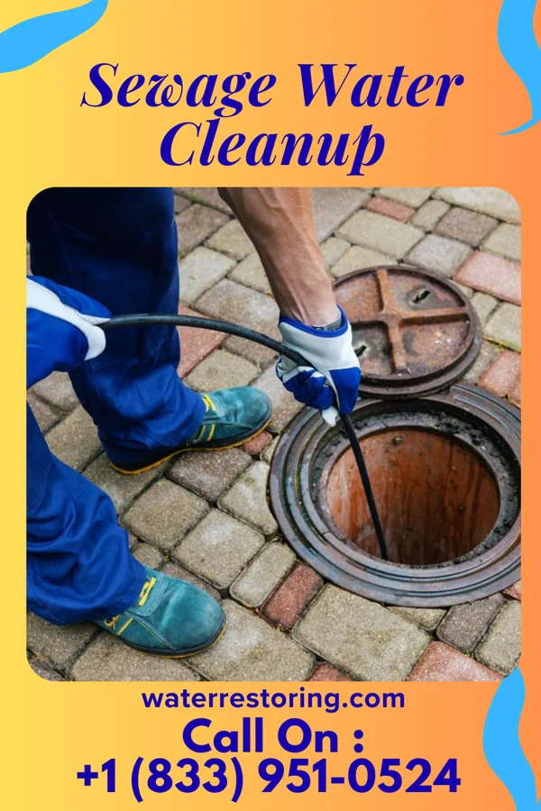 Sewage Water Cleanup in Allen, MI
