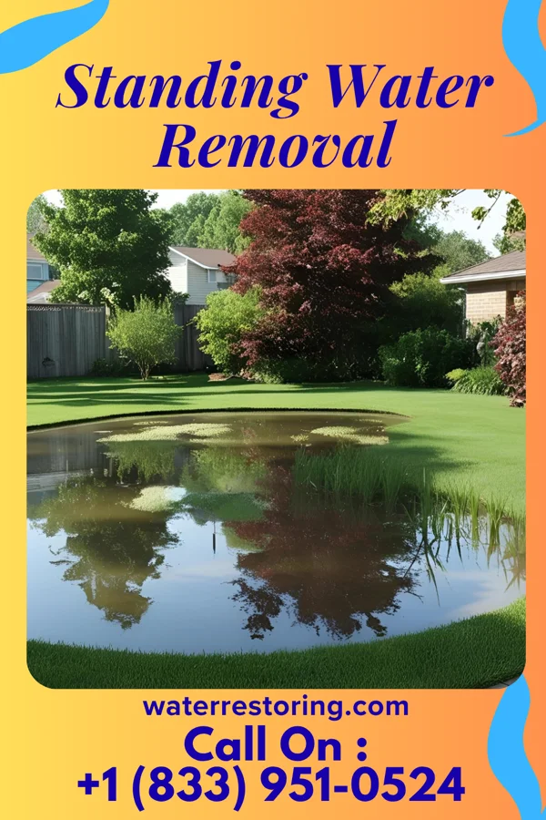 Standing Water Removal in Allen, MI